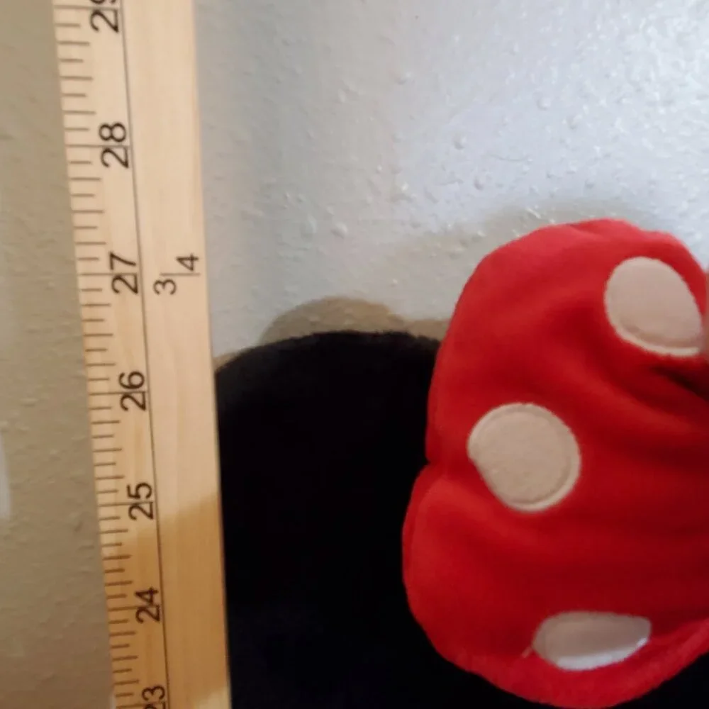 Disney Minnie Mouse 27